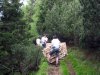 2007.06.09-08.36.39.jpg