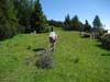 2009.06.13-09.30.22.jpg