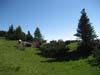 2009.06.13-09.30.34.jpg