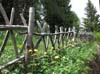 2010.06.13-14.33.50.jpg