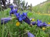 2012.06.09-08.57.50.jpg
