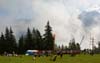 2014.09.07-10.25.00s.jpg